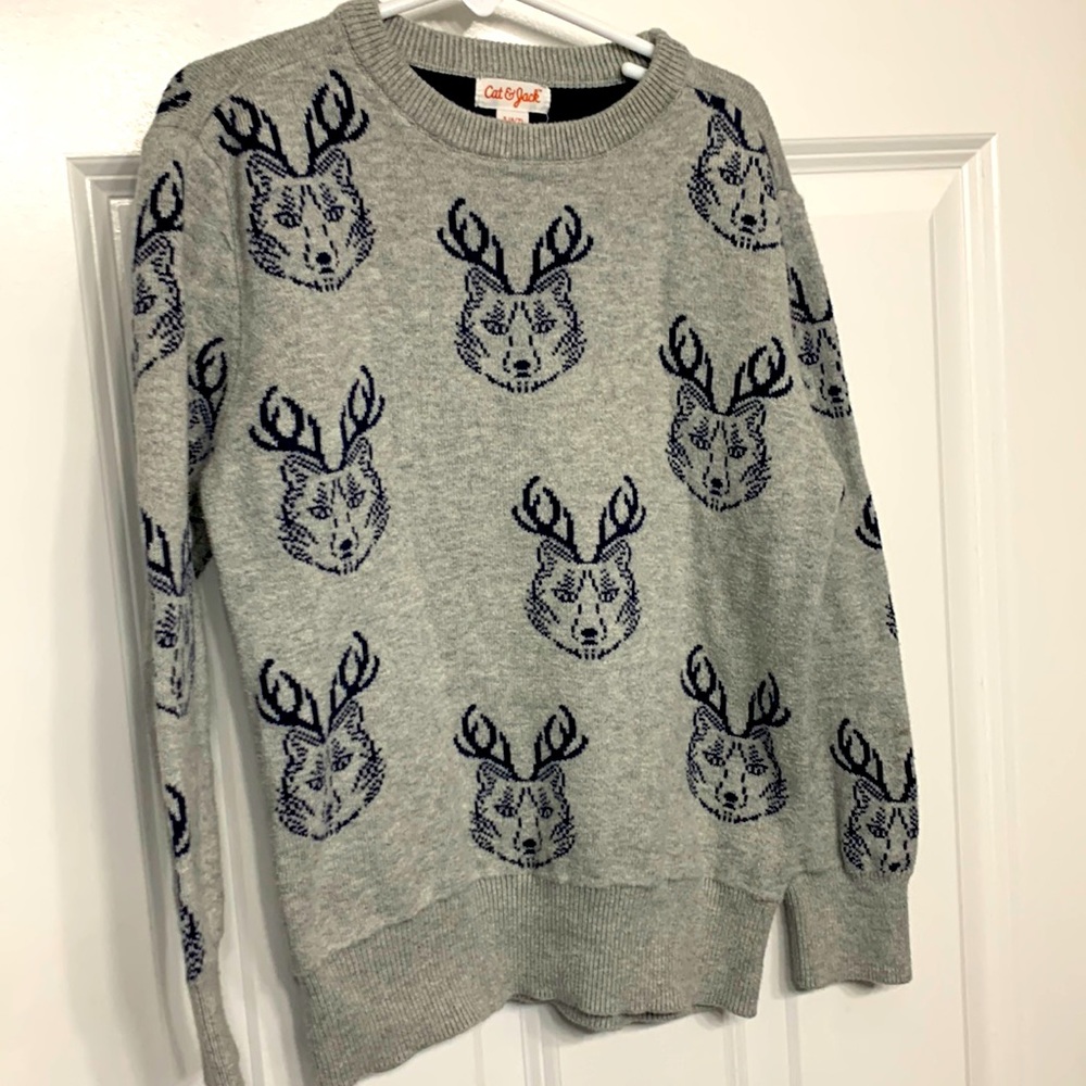 Cute boys sweater
